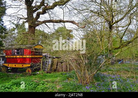 Leuchtend rote Karawane im Zigeunerstil in Kent in der Nähe von Cudham in New Year's Wood Mitte April Stockfoto