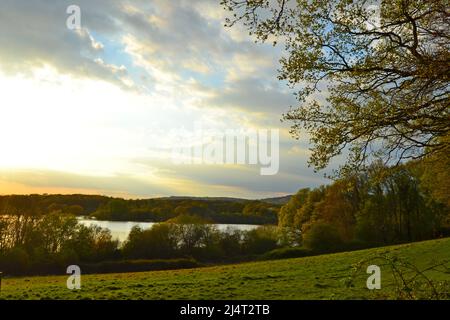 Am späten Nachmittag im Frühling in der Landschaft von Kent auf dem Weald am Bough Beech Naturschutzgebiet in der Nähe von Bore Place, mit Blick nach Westen über den Stausee Stockfoto