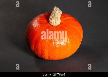 Red kuri Squash auf schwarzem Hintergrund Stockfoto