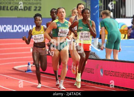 Halimah NAKAAYI aus Uganda , Catriona BISSET aus Australie und Habitam ALEMU aus Äthiopien heizen 800 M Frauen während der Leichtathletik-Hallenweltmeisterschaften 2022 am 19. März 2022 in der stark Arena in Belgrad, Serbien - Foto Laurent Lairys / DPPI Stockfoto