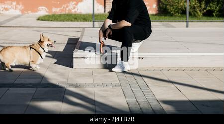 Besitzer spielt mit dem Hund in der Stadt. Freundschaft Stockfoto