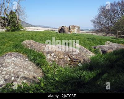 Der Coldrum Long Barrow, oder Coldrum Stones oder Adscombe Stones, ist ein neolithischer langer Barrow mit Grabkammer, in der Nähe von Trottiscliff in Kent, England Stockfoto