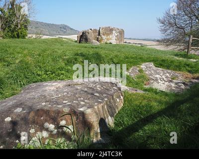 Der Coldrum Long Barrow, oder Coldrum Stones oder Adscombe Stones, ist ein neolithischer langer Barrow mit Grabkammer, in der Nähe von Trottiscliff in Kent, England Stockfoto