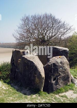 Der Coldrum Long Barrow, oder Coldrum Stones oder Adscombe Stones, ist ein neolithischer langer Barrow mit Grabkammer, in der Nähe von Trottiscliff in Kent, England Stockfoto