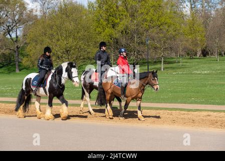 Reitschule im Londoner Park an einem sonnigen Frühlingstag. Begleitete Reiter auf dem Reitweg Stockfoto