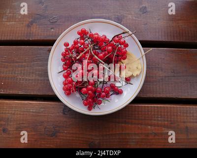 Rote reife Früchte der Viburnum-Beeren auf einem Teller im Herbst Stockfoto