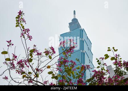 Taipei, Taiwan, 101 Einkaufszentrum, früher bekannt als Taipei World Financial Center Stockfoto