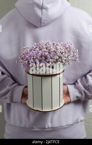 Schachtel mit rosa Blumen für Babys Atem. Geschenkblumen in weißer Schachtel. Frau, die eine Blumenkachtel mit Gypsophila hält. Stockfoto