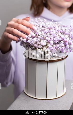 Schachtel mit rosa Blumen für Babys Atem. Geschenkblumen in weißer Schachtel. Frau, die eine Blumenkachtel mit Gypsophila hält. Stockfoto