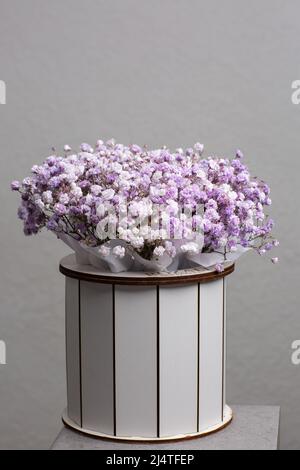 Baby's Breath rosa Blumen Box auf hellen Hintergrund isoliert. Geschenkblumen in weißer Schachtel. Stockfoto