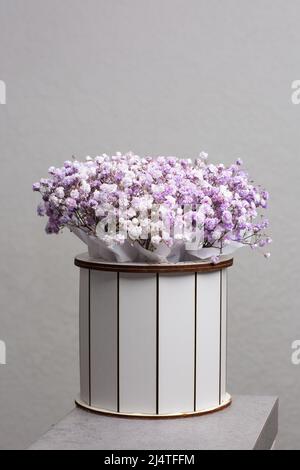 Baby's Breath rosa Blumen Box auf hellen Hintergrund isoliert. Geschenkblumen in weißer Schachtel. Stockfoto