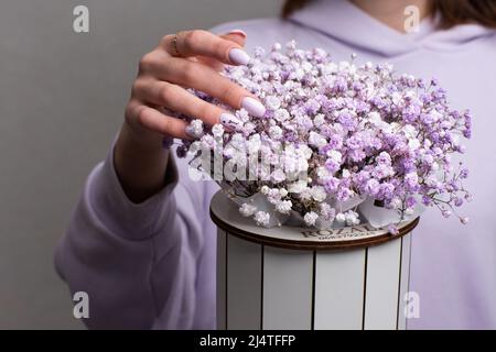 Schachtel mit rosa Blumen für Babys Atem. Geschenkblumen in weißer Schachtel. Frau, die eine Blumenkachtel mit Gypsophila hält. Stockfoto