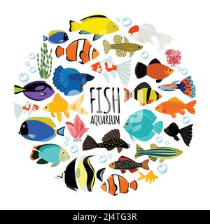 Flaches Aquarium Fische rund Konzept mit buntem Salzwasser und Süßwasser Fische Wasserblasen Korallen isoliert Vektor-Illustration Stock Vektor