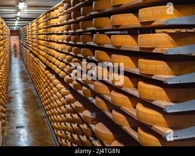 Gruyeres, Schweiz - 23. November 2021: Reifung von Käse in einem Keller der Käsefabrik Maison du Gruyere in der Schweiz. Stockfoto