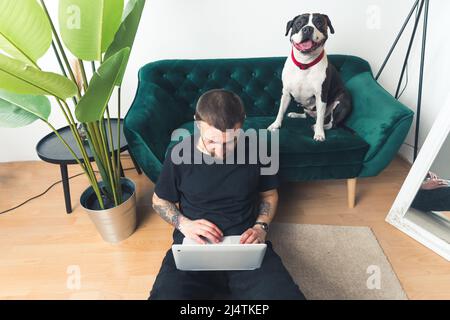 Der kaukasische tätowierte Mann mittleren Alters in einem schwarzen T-Shirt sitzt auf dem Boden und benutzt seinen Laptop, während sein großer schwarz-weißer Hund auf einem Sofa sitzt. Inneneinrichtung. Hochwertige Fotos Stockfoto