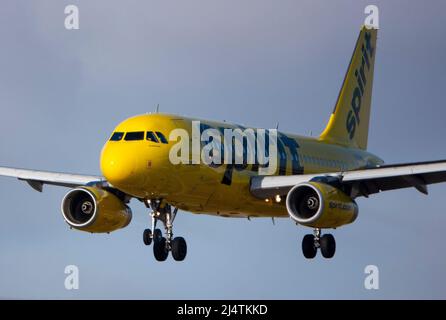 Los Angeles, Kalifornien, USA. 11. April 2022. Eine Spirit Airlines kommt am internationalen Flughafen von Los Angeles an, bekannt als LAX. (Bild: © K.C. Alfred/ZUMA Press Wire Service) Stockfoto