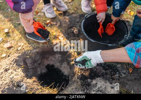 Kinder spielen und graben schwarzen Boden mit Schaufel oder helfen, Baum im Freien zu Pflanzen Stockfoto