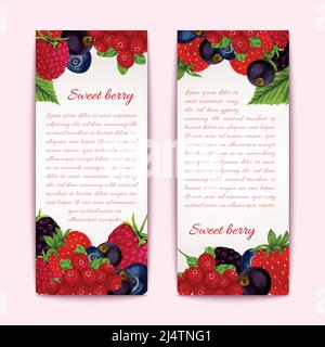 Natürliche Bio Wald gesunde Beeren Banner vertikale Set Vektor Illustration Stock Vektor