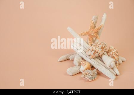 driftwood Hintergrund.Driftwood Sticks, Seesterne und weißes Fischernetz auf cremefarbenem Hintergrund.Naturholzdekor im nautischen Stil. Stockfoto