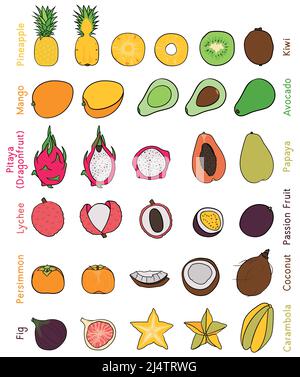 Sammlung verschiedener handgezeichneter, flacher exotischer Früchte, isoliert auf weißem Hintergrund. Stock Vektor