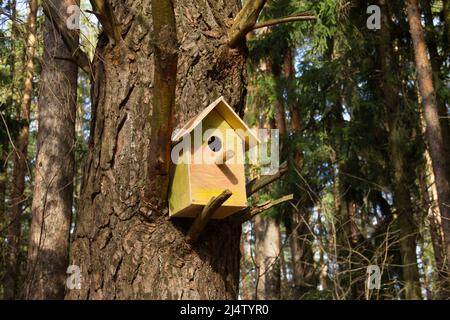 Ein hölzernes Vogelhaus auf einem großen alten Baum im Park oder Wald am sonnigen Frühlingstag. Stockfoto