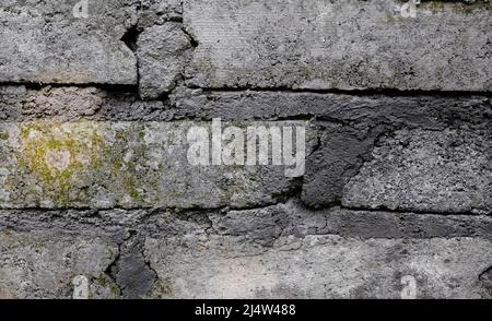 Alte Beton graue Ziegelwand mit Moos wächst auf der Oberfläche und sichtbaren Mörtel zwischen Ziegel Textur Hintergrund Stockfoto