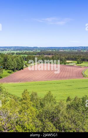 Gepflügte Feld in einer ländlichen Landschaft Stockfoto