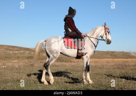 Ein türkischer Soldat in traditioneller Kleidung reitet auf einem weißen Pferd. Ein Bogenschütze in der alten türkischen Armee. Stockfoto