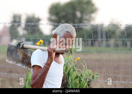 Nahaufnahme eines indischen älteren männlichen Farmers, der auf dem Feld in indien steht Stockfoto