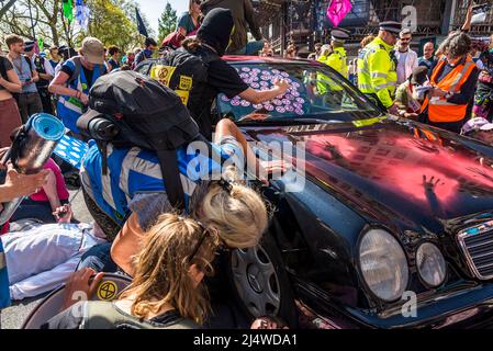 Aktivisten stoppen ein Auto, indem sie um ihn herum liegen und Mann XR Aufkleber auf dem Auto, Wir werden nicht umhergehen, ein Aussterben Rebellion Protest, dass Fi Stockfoto