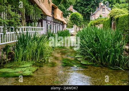 In Veules-les-Roses gibt es Frankreichs kurzen Fluss: Die Veules von nur 1km Länge, Normandie, Frankreich Stockfoto