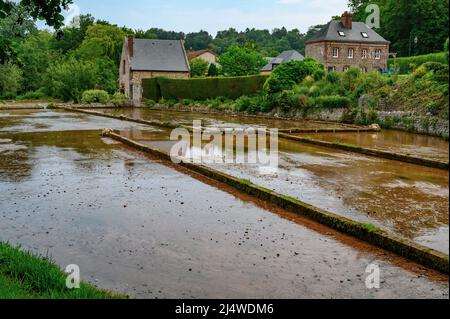 In Veules-les-Roses gibt es den kurzen Fluss Frankreichs: Die Veules von nur 1km Länge, die in der Normandie, Frankreich, eine Wasserkresse bewässern Stockfoto