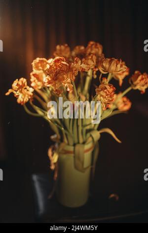Orangefarbene Blüten, Tulpen auf dunklem Hintergrund in der Sonne Stockfoto