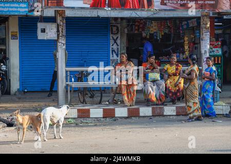 Eine Gruppe indischer Frauen wartete am frühen Morgen auf einen lokalen Bus in Trichy, Tamil Nadu, Indien Stockfoto