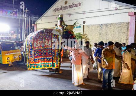 Religiöses Fest mit einem Elefanten inTrichy, Tamil Nadu, Indien Stockfoto