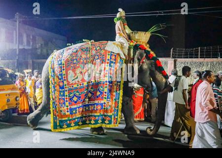 Religiöses Fest mit einem Elefanten inTrichy, Tamil Nadu, Indien Stockfoto