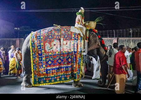 Religiöses Fest mit einem Elefanten inTrichy, Tamil Nadu, Indien Spiritualität Straßen Stadt traditionell Stockfoto