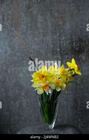 Panorama Grunge Hintergrund mit gelben Narzissen Blumen. Muster mit einem Bouquet von Narzissen-Blüten auf dunklem Hintergrund. Webbanner mit großem Winkel und Platz zum Kopieren. Stockfoto