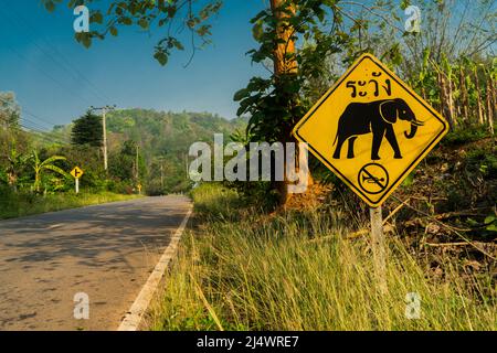 Elefanten durchqueren Stockfoto