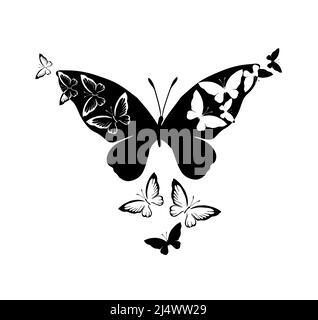 Monochrome Schmetterlinge Abstraktion. Vektorgrafik Stock Vektor