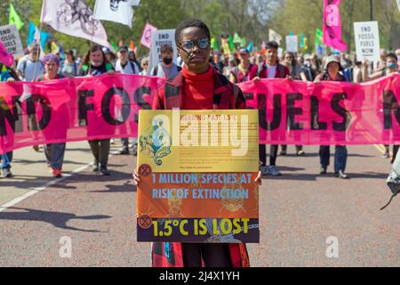 Extinction Rebellion Protest auf den Straßen Londons gegen den Einsatz fossiler Brennstoffe und zur Sensibilisierung für den Klimawandel 16.. April 2022 Stockfoto