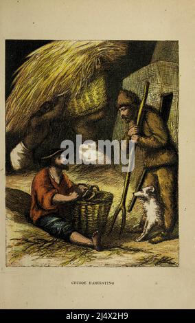 Crusoe Harvesting aus dem Buch The life and Adventures of Robinson Crusoe von Daniel Defoe, farbig illustriert von EDWARD H. WEHNERT. Herausgeber Boston (Franklin and Hawley Streets) : D. Lothrop and Company 1884 Stockfoto