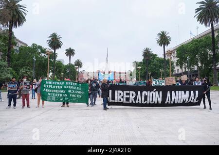 Buenos Aires, Argentinien; 1. Nov 2021: Weltvegantag, Plaza de Mayo. Menschen mit Spruchbändern: Animal Liberation. Solange Tiere getötet und exp Stockfoto