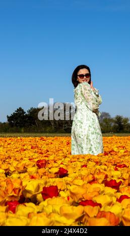 Hübscher japanischer Tourist, der inmitten blühender Tulpen in ländlicher Landschaft posiert, Noordwijkerhout, Südholland, Niederlande. Stockfoto