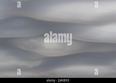 Cloudscape, Kgalagadi Transfrontier Park, Südafrika, Januar 2022 Stockfoto