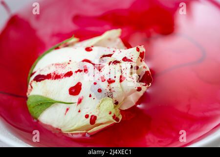 Weiße Rose in einem Pool von Blut, Leidenschaft Verbrechen Konzept Stockfoto