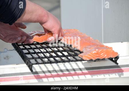 Hände eines Fischers, der frische Lachsfilets auf ein Metallgitter legt, um auf dem Fischmarkt im Hafen zu rauchen, Kopierraum, ausgewählter Fokus, schmale Abseilung Stockfoto