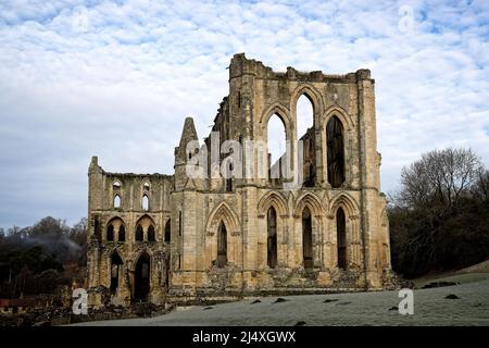 Presbyterium und Südtranssept der zerstörten Zisterzienserabtei Rievaulx gegründet 1132 - unterdrückt 1538. Stockfoto