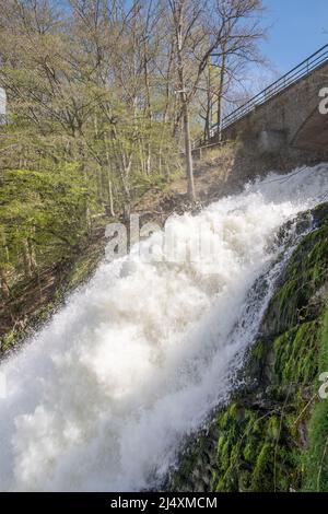 coos April 2022: Der COO Wasserfall ist eine beliebte Attraktion in Wallonien und der höchste natürliche Wasserfall Belgiens. In Der Nähe Von Stavelot, Stockfoto