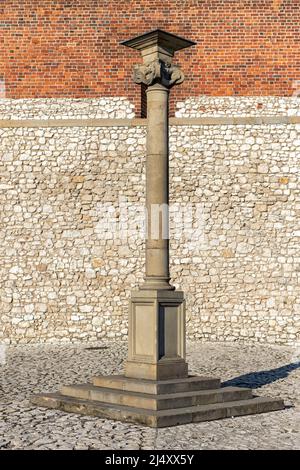 Column, Wawel Royal Castle, Krakau, Polen Stockfoto